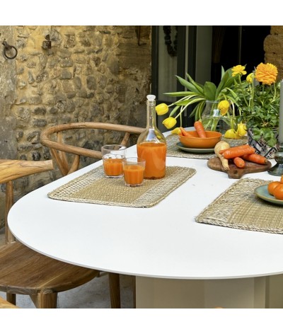 table de repas de jardin ipanema en couleur